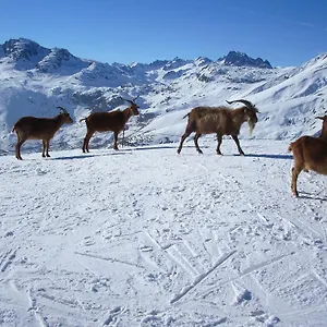 Bed & Breakfast D'hotes Kiki & Coco, Saint-Jean-de-Maurienne